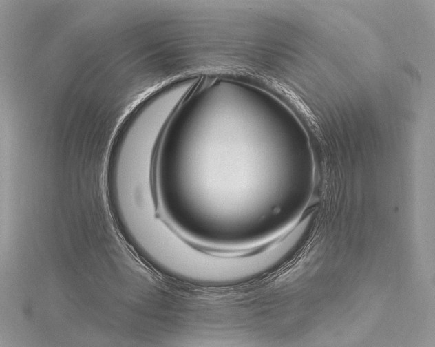 X0000115520391200911201703