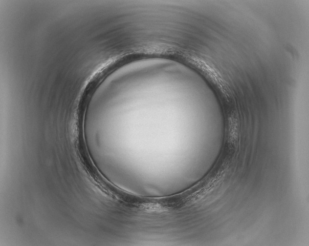 X0000115520392200911201703