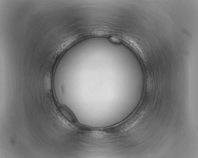 X0000115520393200911201703