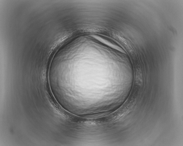 X0000115520394200911201703