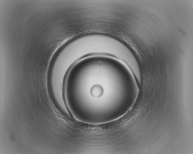 X0000115520395200911201703