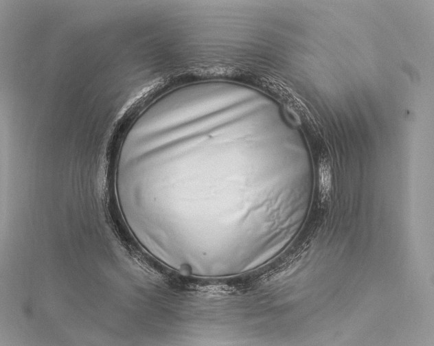 X0000115520396200911201703