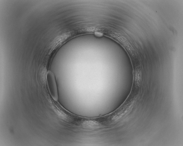 X0000115520397200911201703