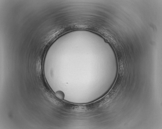 X0000115520398200911201703