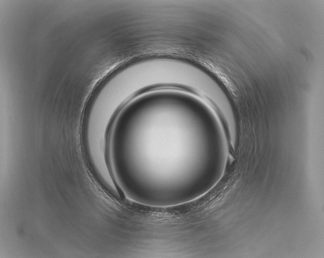 X0000115520399200911201703