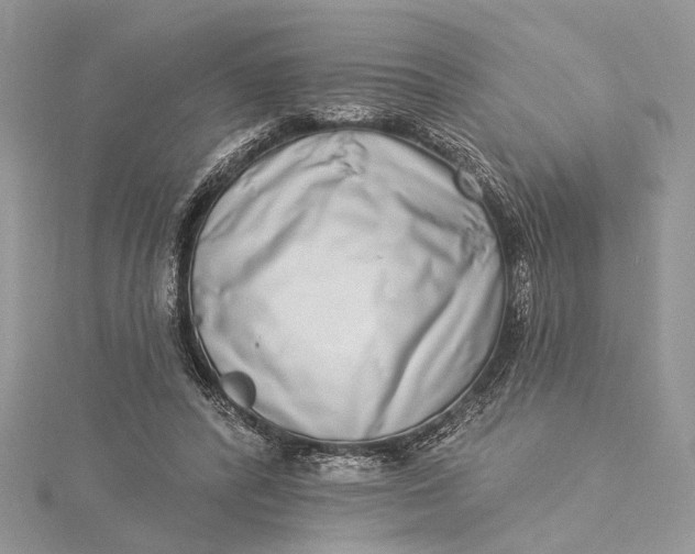 X0000115520400200911201703