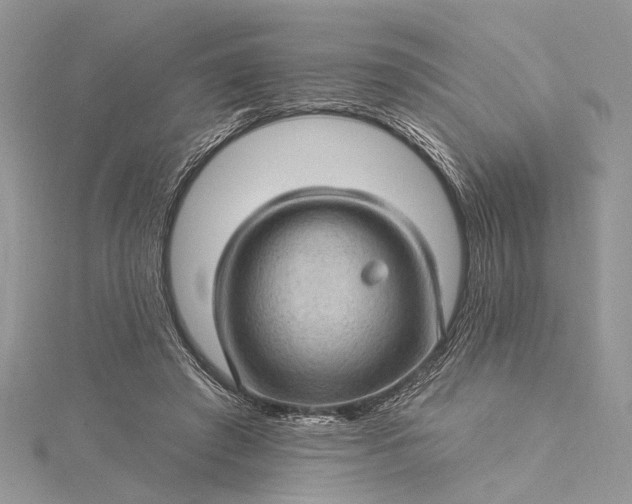 X0000115520401200911201703