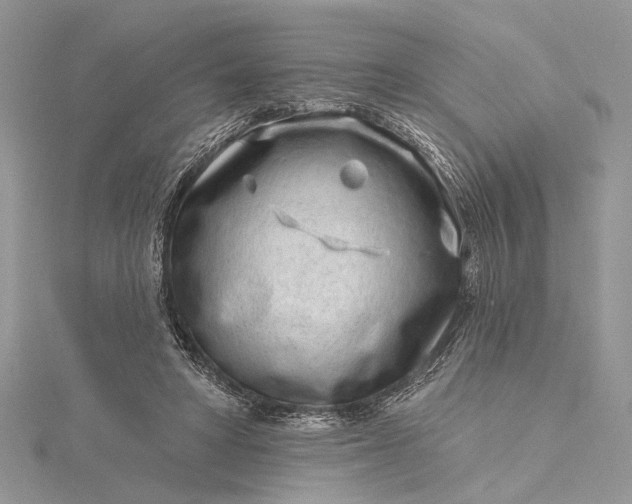 X0000115520402200911201703