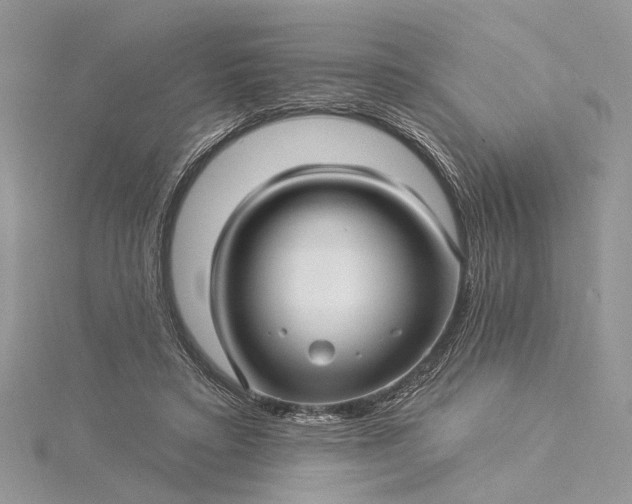 X0000115520403200911201703