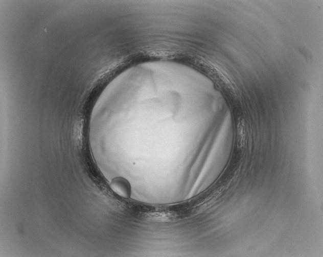 X0000115520404200911201703