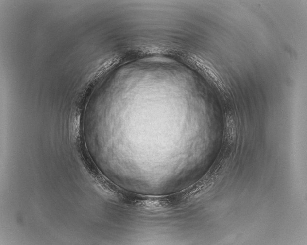 X0000115520406200911201703