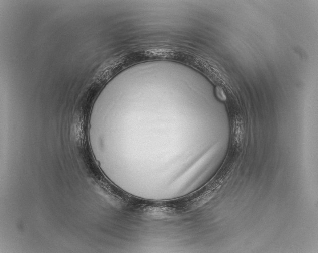 X0000115520408200911201703