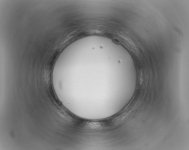 X0000115520409200911201703