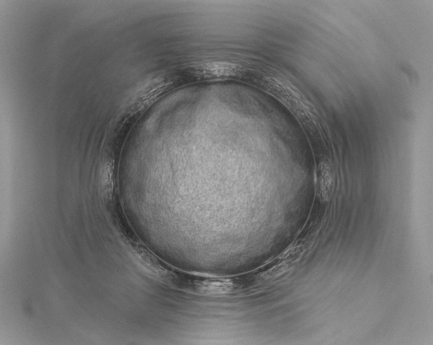 X0000115520410200911201703