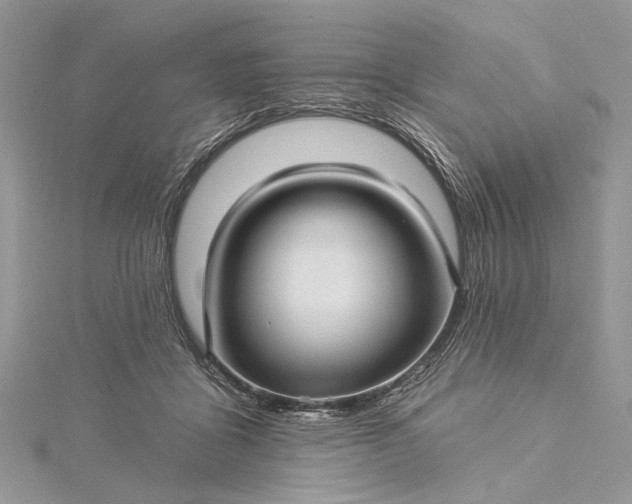 X0000115520411200911201703