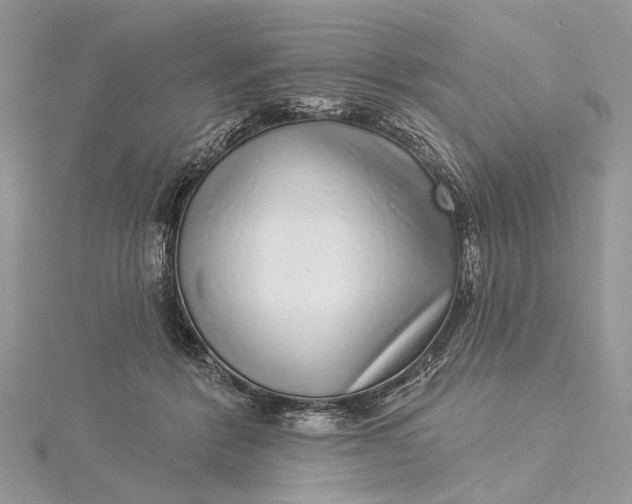 X0000115520412200911201703