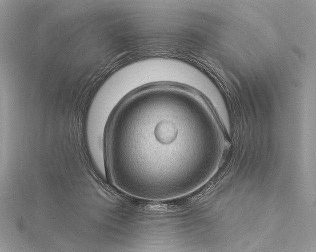 X0000115520413200911201703