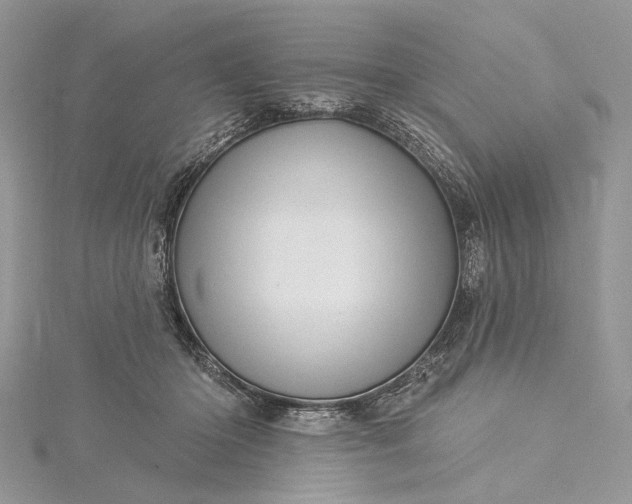 X0000115520414200911201703