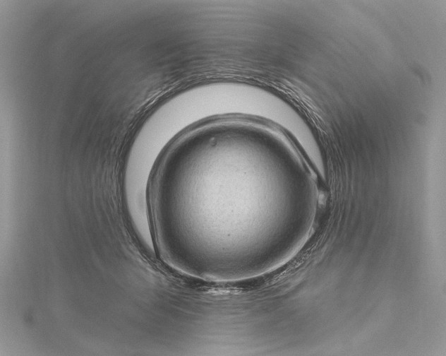 X0000115520415200911201703