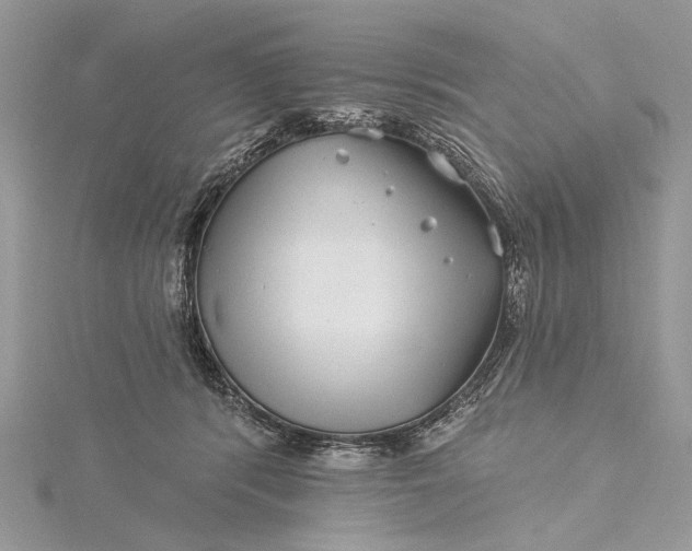 X0000115520416200911201703