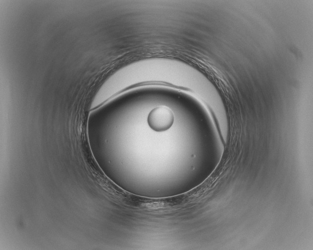 X0000115520417200911201703