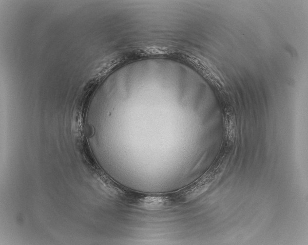 X0000115520418200911201703