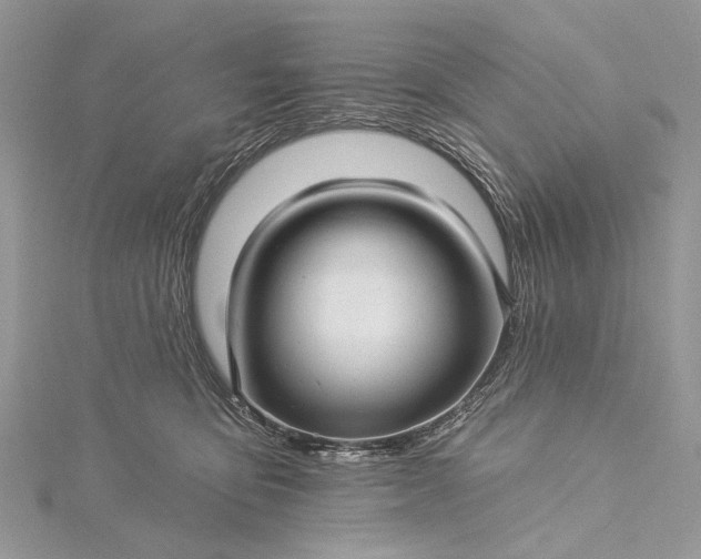 X0000115520419200911201703