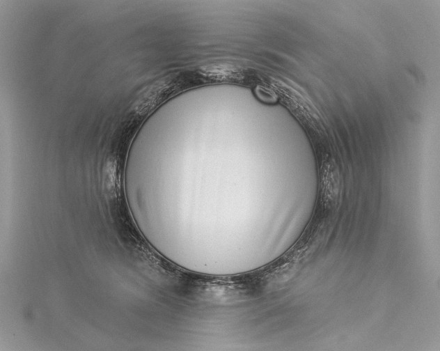 X0000115520420200911201703