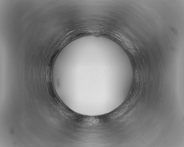 X0000115520421200911201703