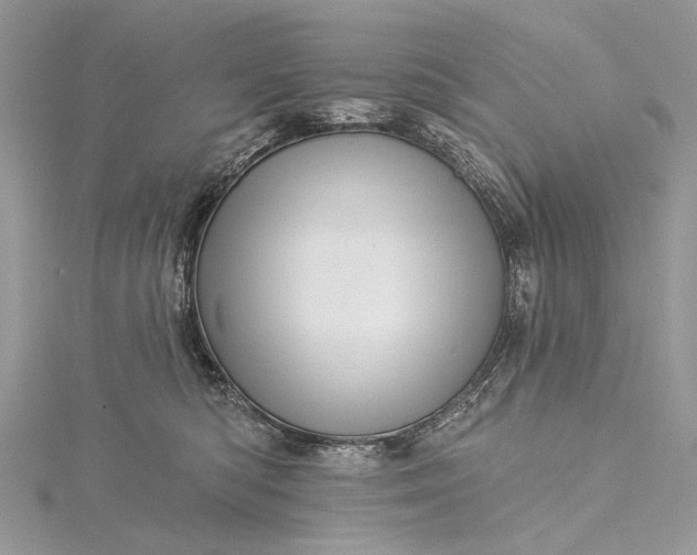 X0000115520422200911201703