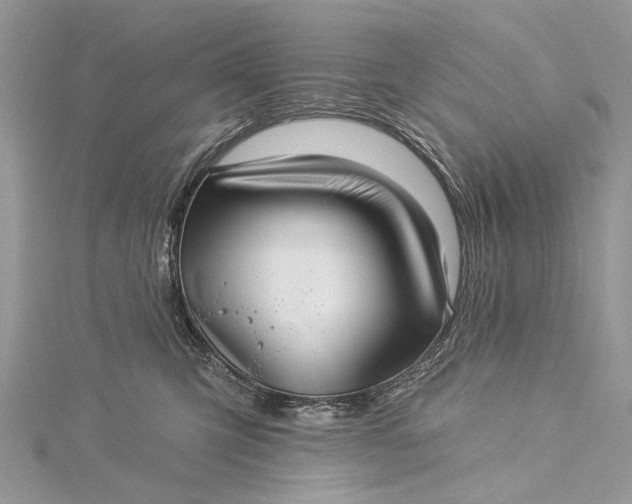 X0000115520423200911201703