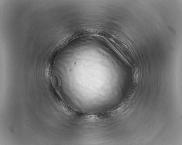 X0000115520424200911201703