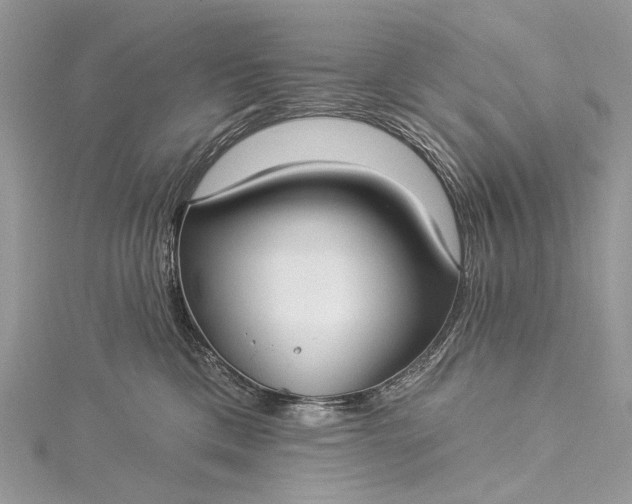 X0000115520425200911201703