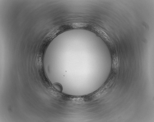 X0000115520426200911201703