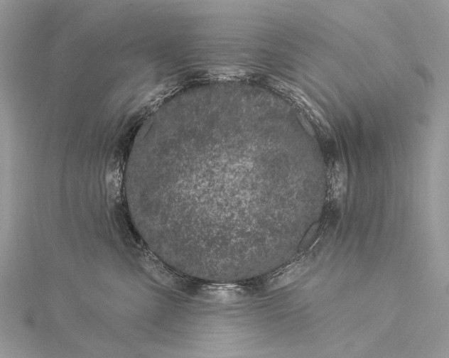 X0000115520427200911201703