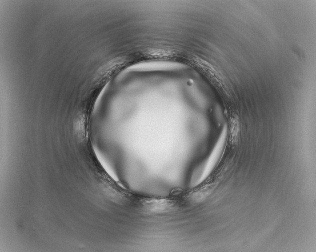 X0000115520428200911201703