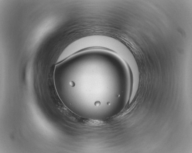 X0000115520429200911201703