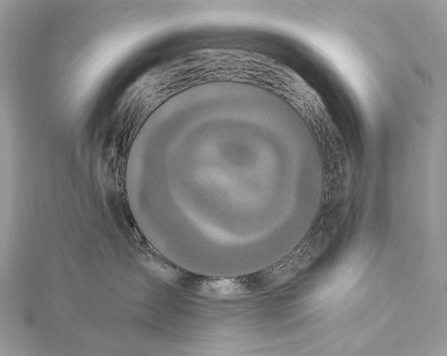 X0000115520431200911201703