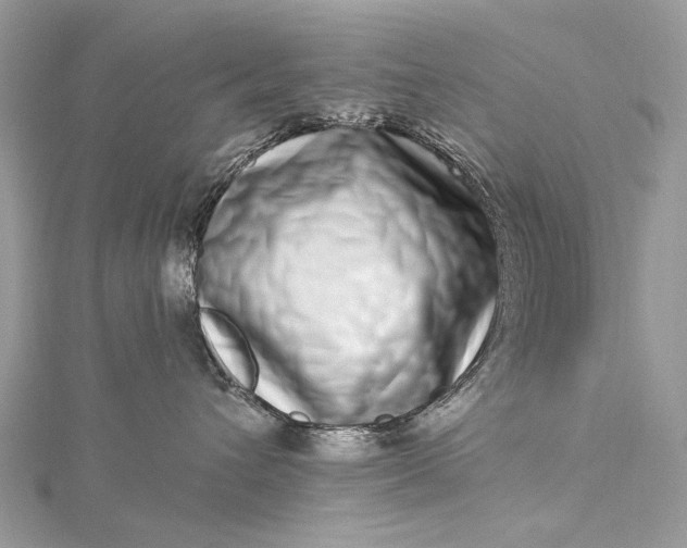 X0000115520432200911201703