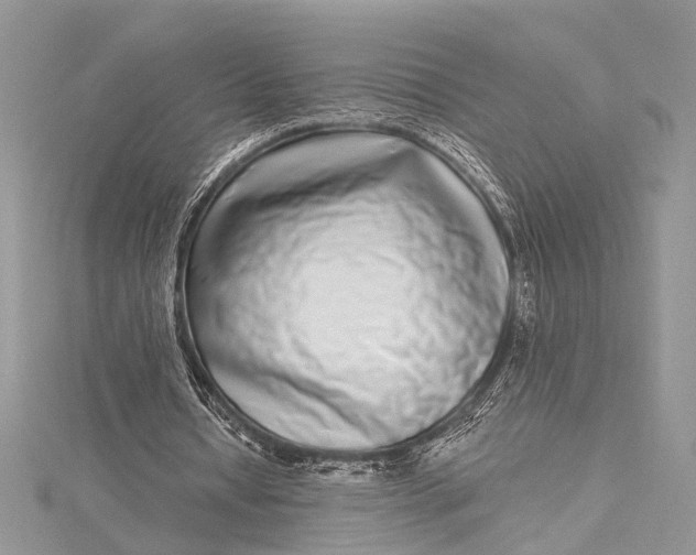 X0000115520434200911201702