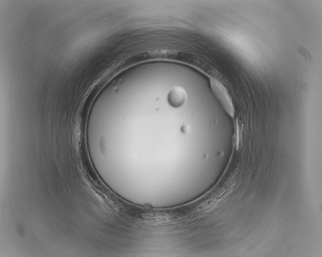 X0000115520435200911201702