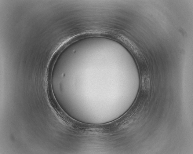 X0000115520436200911201702