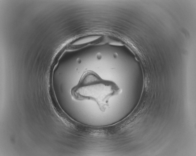 X0000115520438200911201702