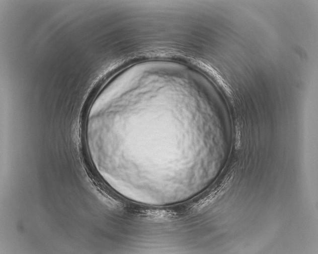 X0000115520439200911201702