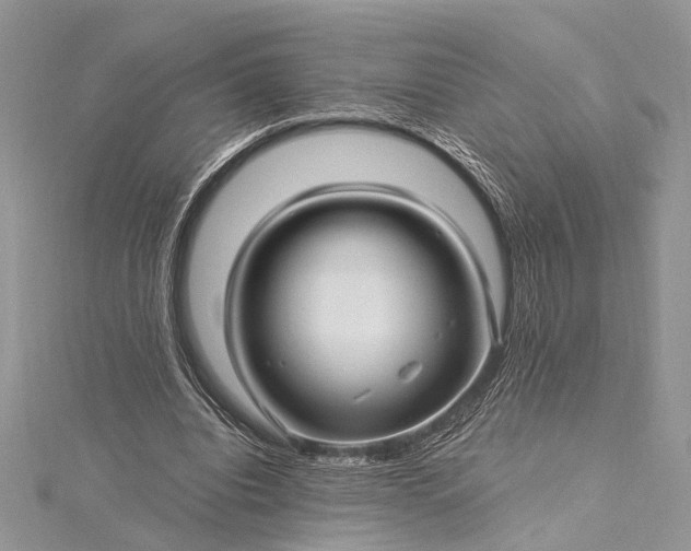 X0000115520440200911201702