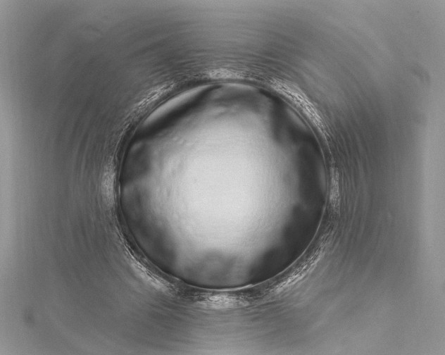 X0000115520441200911201702