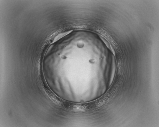 X0000115520442200911201702