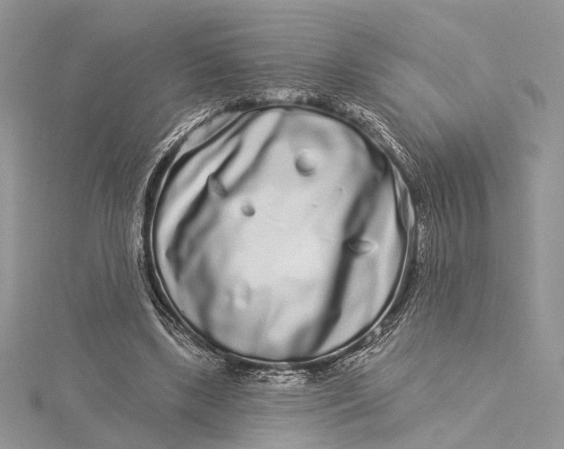 X0000115520443200911201702