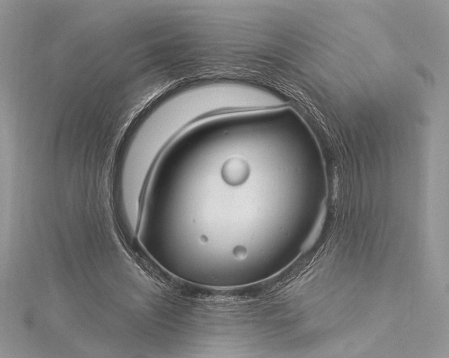 X0000115520444200911201702