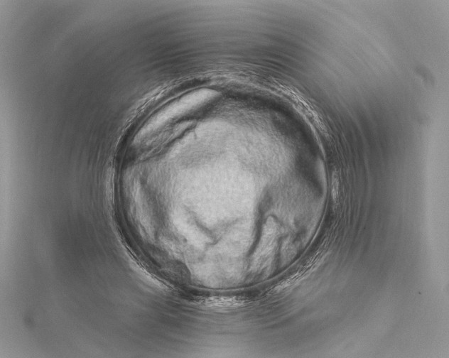 X0000115520445200911201702